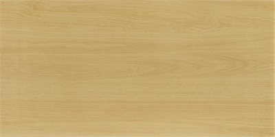天鹅绒木纹砖-F61263