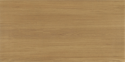 天鹅绒木纹砖-F61265